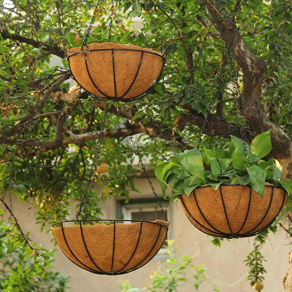 Garden Products Black Metal Coconut Hanging Basket