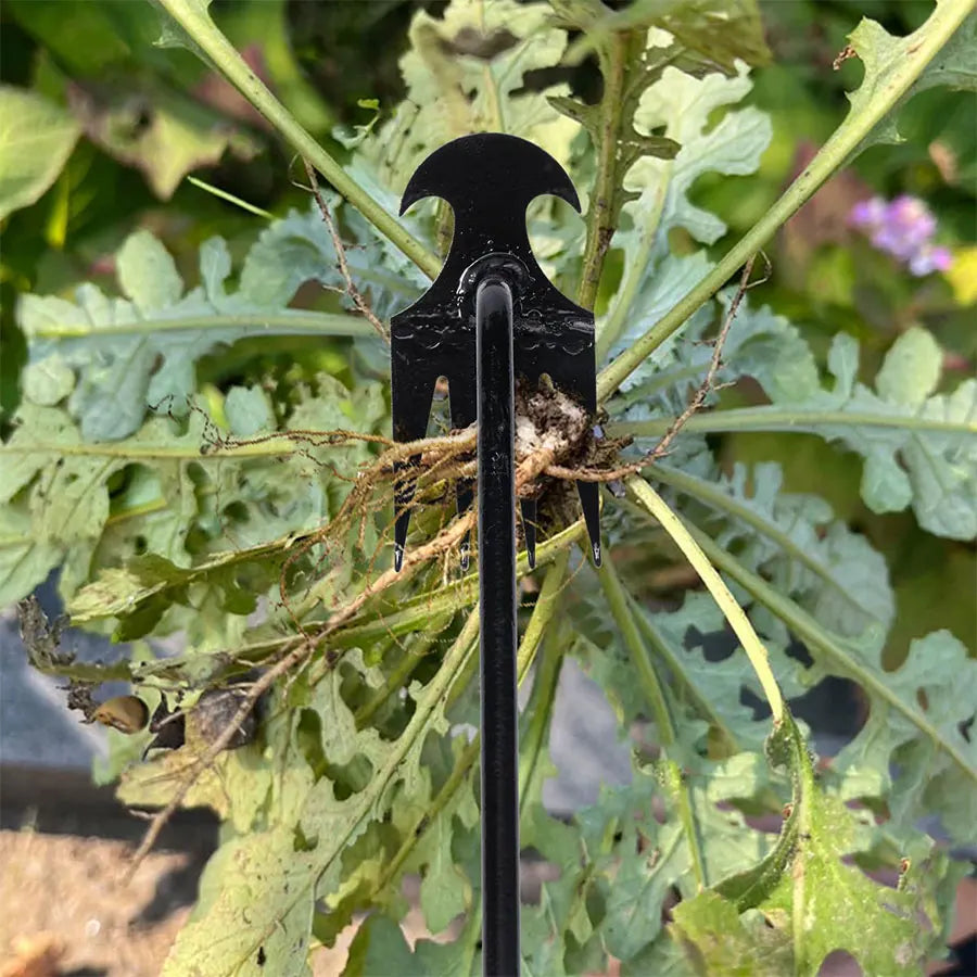 Garden Hoe Agricultural Supplies Weeds Tool Gardening Tools Utensils Hand Herbicide Weed Teacher Farming Farm Accessories