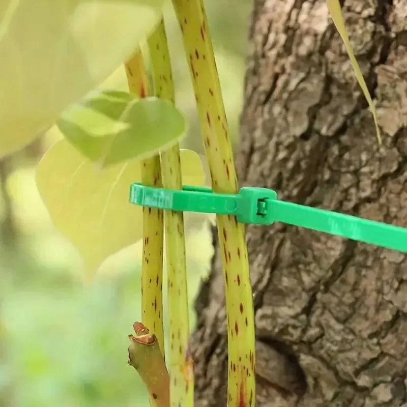 Gardening Strapping,zip Ties, Plastic Winding, Plant-fixing, Portable Gardening Cables, Gardening And Lawn Care