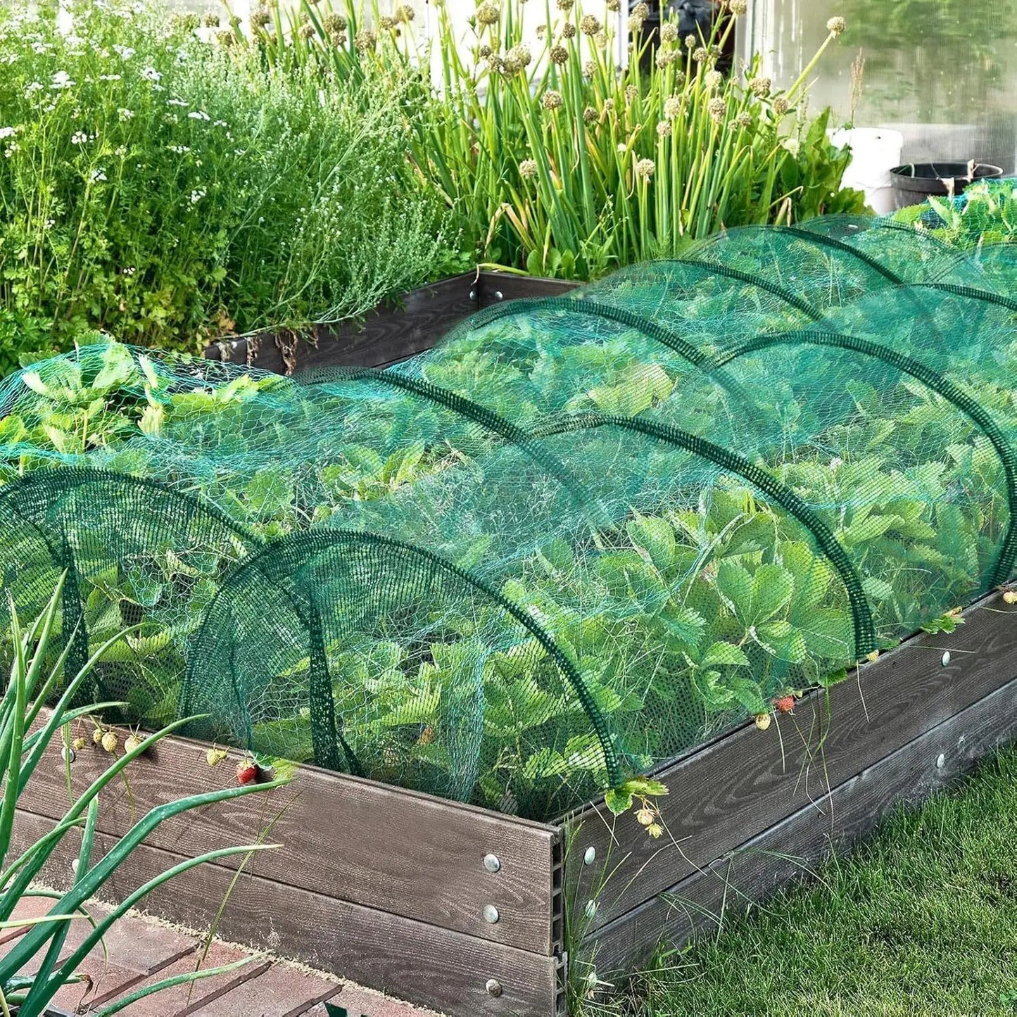 Garden Netting Raised Beds Bird Barrier Screen Vegetable Protection Greenhouse Tunnel Cover for Fruits Flowers Cucumber Tomato